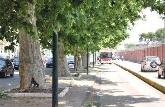 Alpivida Home - Foto 22