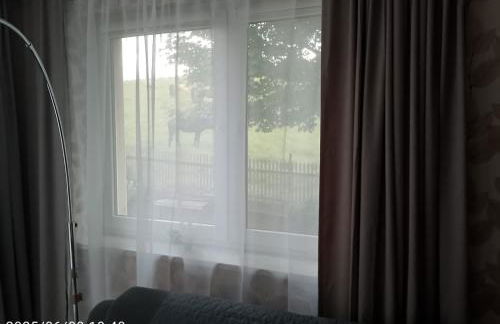 Nähe Plohn Park - FEWO mit Spielzimmer und Balkon sowie Doppelzimmer mit eigenem Bad - Foto 31