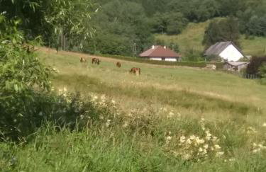 Altana całoroczna Vira numer 7 Herbergerówka Agroturystyka na wsi - Foto 24