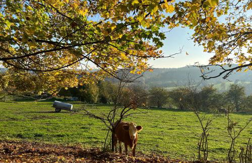 Schöne, ruhig gelegene Wohnung - Foto 12