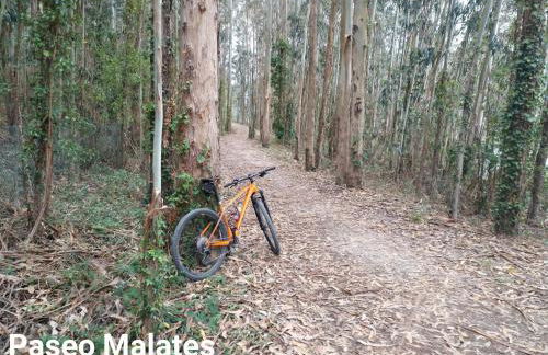 DÚPLEX ÁTICO XANA FOZ con terraza 80 m2 privada y vistas a la ría - Foto 23