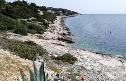 House Dragi - Foto 18