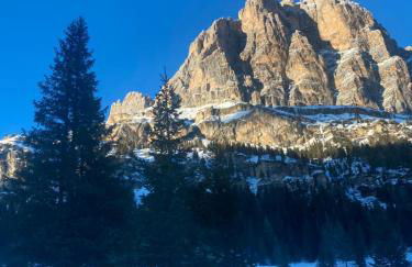 The Grey Lodge at Bosco Verde - Photo 40