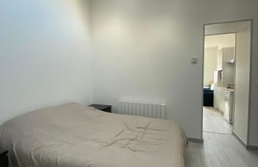 Casamara 1 T1 avec 2 couchages 10 min CHU - Foto 20