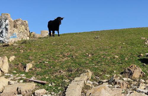 Apartamentos Bolonia - M a n u e l a - Foto 61