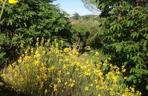 LA PICHIOLINE - Foto 11