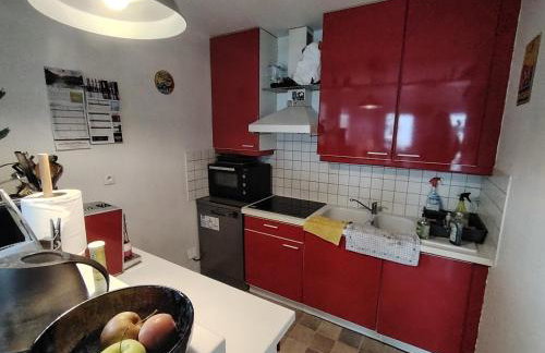 Charming T2 for 2 Personne Strasbourg - Foto 5