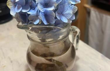 CABANA SERRA DA BALANÇA - Foto 24