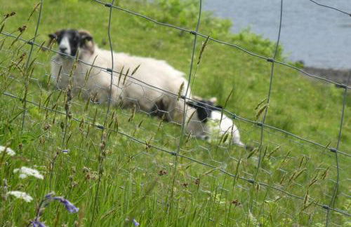 The Causeway - Foto 38