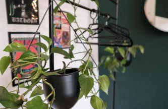 Rock City Apartments Room 555 - Photo 15