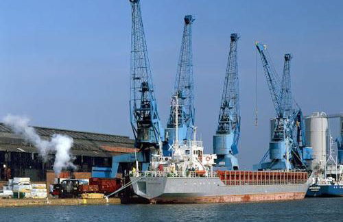 Pasture Place - Foto 7