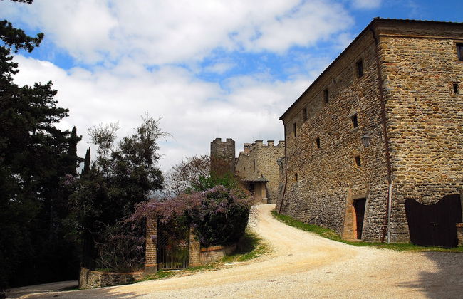 Castello di Giomici - Photo 65