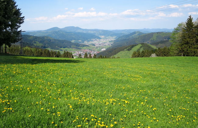 Schmalzenhof - Foto 30