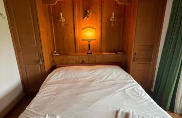 Luxury panoramic apartment Plan de Corones - Photo 1