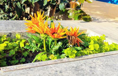 V-Apartments - Foto 7