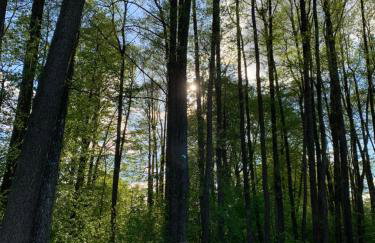 Domek nad Śniardwami - Foto 35