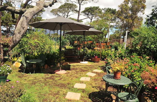 Bradclin House - Foto 39