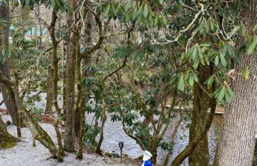 River Run Cottage Modern 2BR Waterfront Retreat in Linville Land Harbor - Foto 18