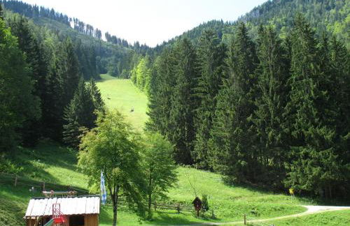 Almbrünnerl die Almhütte auf der Raffner Alm - Foto 32