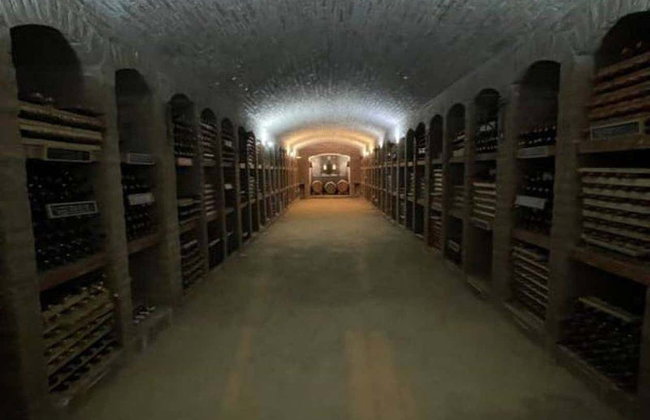 Excursão à Vinícola Undurraga - Foto 4