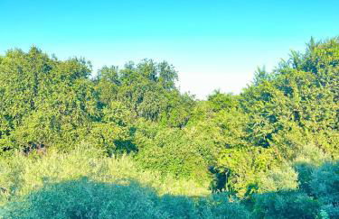 Villa Marilena - Photo 4