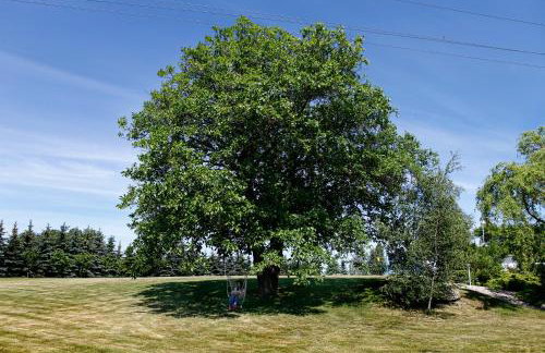 Villa Port Rybaki - Foto 17