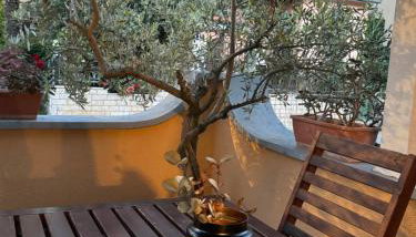 Bed and Bike Milena Apartment - Foto 3, Garden view