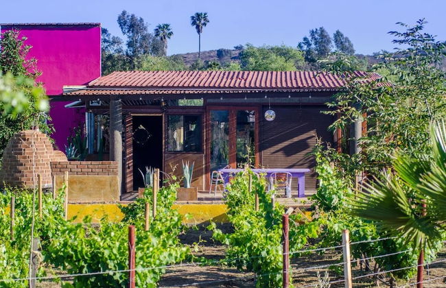 Ecléctico Guadalupe - Foto 42