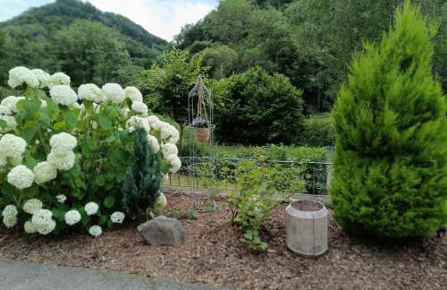 Landhaus Sonnenwinkel - Foto 12