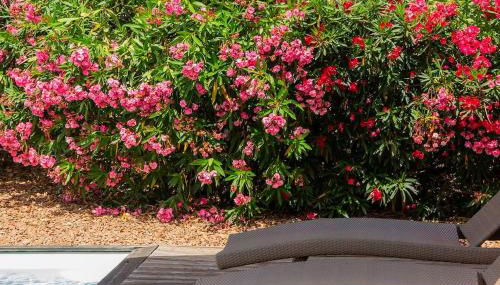 Les Hameaux De Buttaciolo - Foto 3, Garden