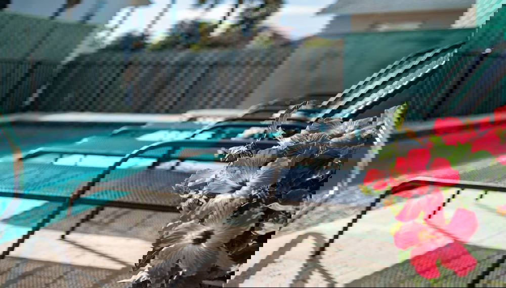 Seascape 1 - Foto 1, Exterior