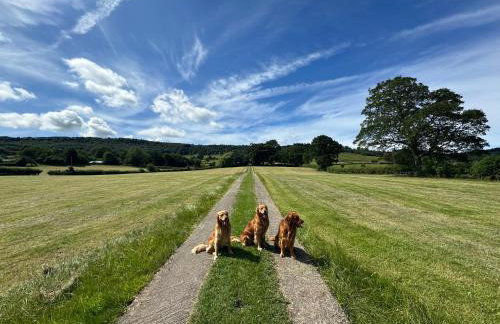 Cliffe House Cottage - Photo 15
