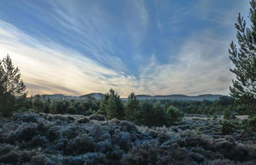 The Bothy, Nethy Bridge - Foto 25