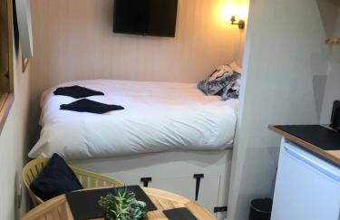 Cosy Shepherds Hut, heating, Hot Tub, WiFi and magnificent view - Foto 17