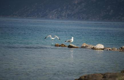 Belvedere Suites Korfos - Foto 8