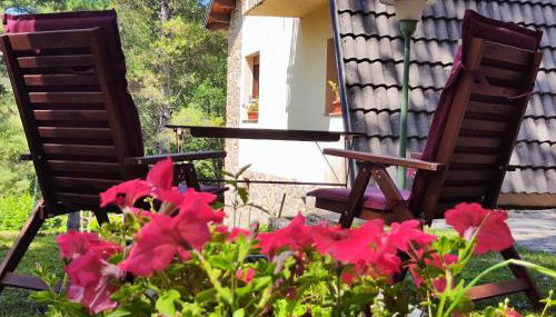 Can Nitu - Photo 5, Garden, Garden view