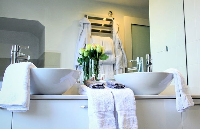 Maltese Maltese - Foto 48