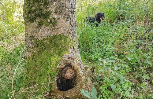 Bullace Barn - Foto 59