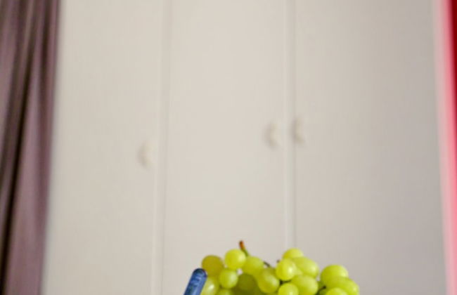 BnButler - Col di Lana 1 - Photo 11