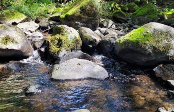 Betzemühle 2 Bauernhof - Foto 23