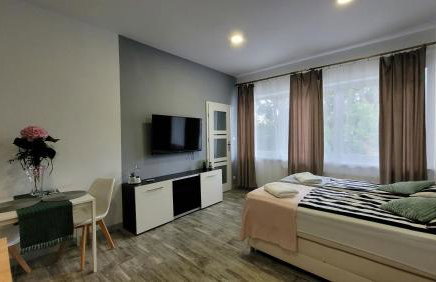 Apartamenty Parkowe nr 4 - Foto 7