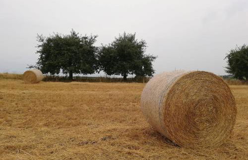 Odenwald Lounge im Naturpark Bergstraße-Odenwald - Photo 18