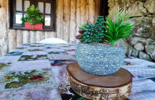 Casa da Fonte - Branda da Aveleira - Foto 19