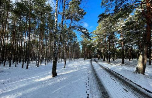 Domki nad morzem " Przy Lesie" - Foto 37