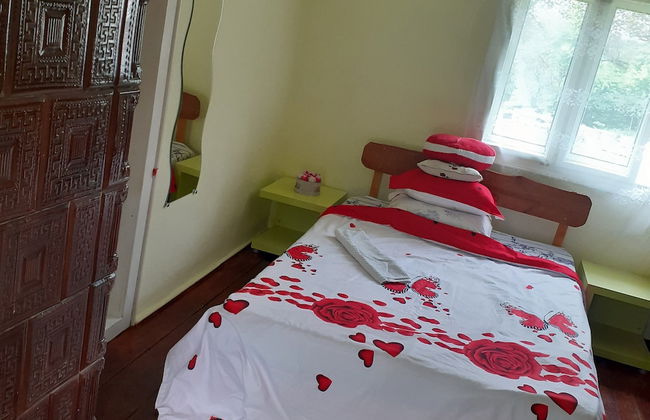 Retreat Holiday in Cozy Traditional House - Photo 8