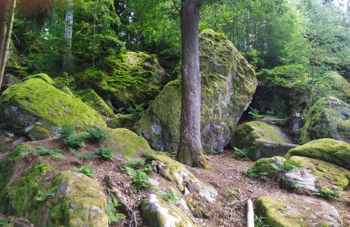 Ferienwohnung „Schau ins Frankenland“ - Foto 22