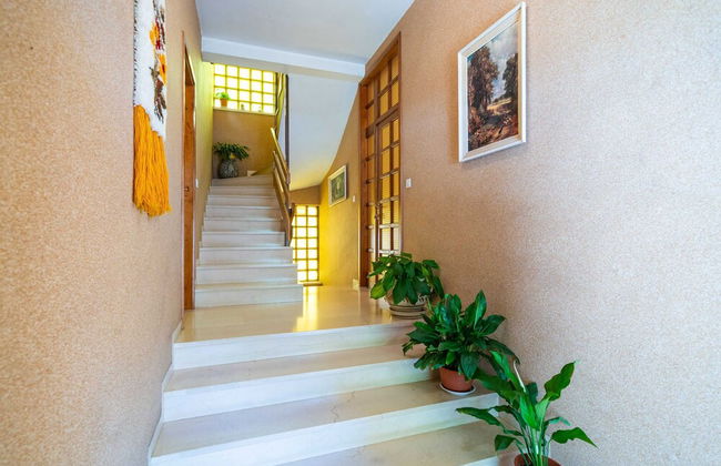 Villa Ivka - Foto 19