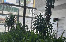 Sunny Central near Yumbo and Dunes - Foto 6