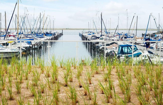 6 Personen Ferienhaus in Wendtorf - Foto 37