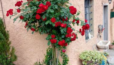 Casa di Campagna Il Granaio - Foto 2